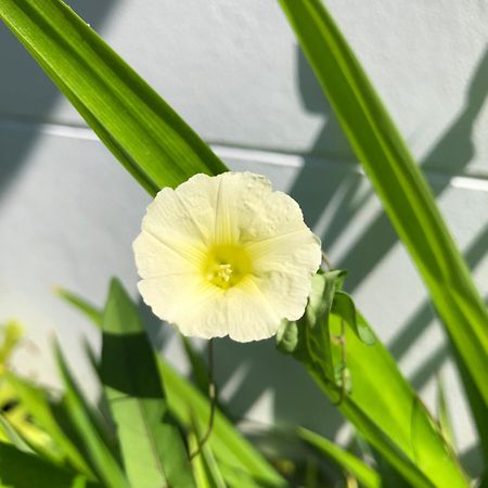 Bulan Villa rayong Dış mekan fotoğraf